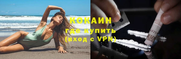 дмт Козельск