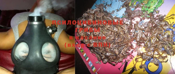 таблы Козловка