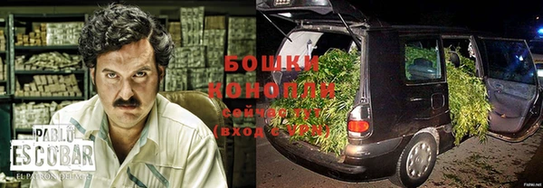 таблы Козловка