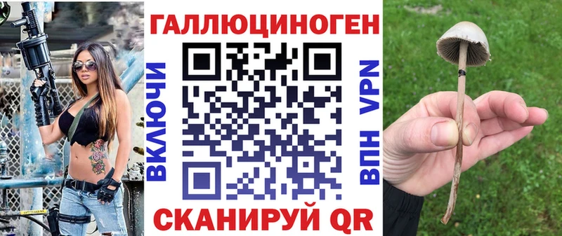 Галлюциногенные грибы GOLDEN TEACHER  Купить  Новый Уренгой 